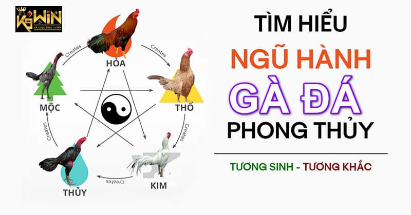 Xem ngày theo ngũ hành