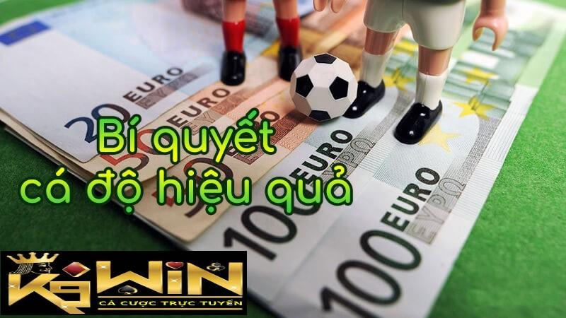  nguyên tắc cơ bản của cá cược