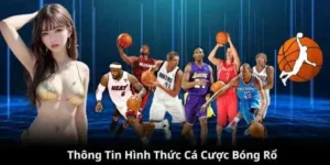 Tìm Hiểu Cá Cược Bóng Rổ K9WIN: Hành Trình Giải Trí Đỉnh Cao