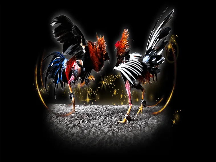 Đá Gà K9WIN - Trải Nghiệm Giải Trí Đỉnh Cao Tại K9WIN