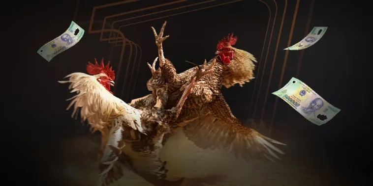 Bí Quyết Tham Gia Đá Gà Sabong Tại K9WIN Thành Công