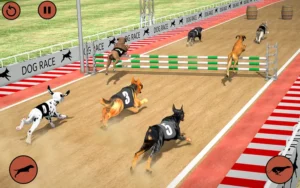Bí Quyết Chinh Phục Game Đua Chó Nhanh Tại K9WIN Chiến Thắng Dễ Dàng
